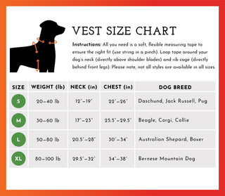 Spot the Dog Reflective Vest - Orange