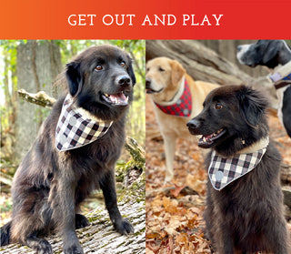 Spot the Dog Cozy Fleece Bandana - Gray Plaid