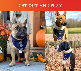 Spot the Dog Cozy Fleece Bandana - Blue Plaid